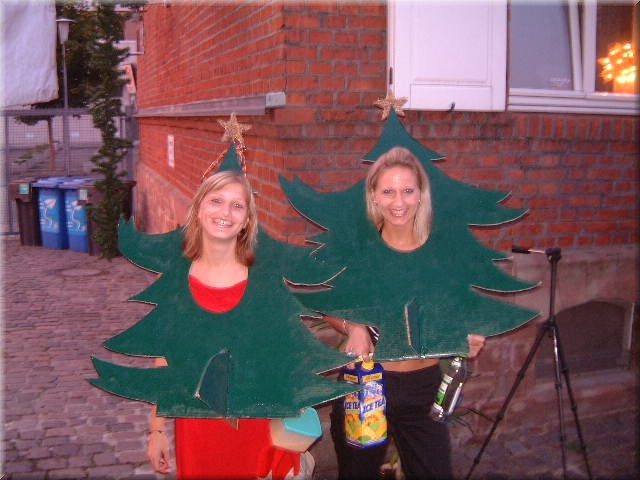 2_weihnachten_im_August_2003_070.JPG