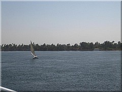 012Aegypten2007ersterTagLuxor.JPG