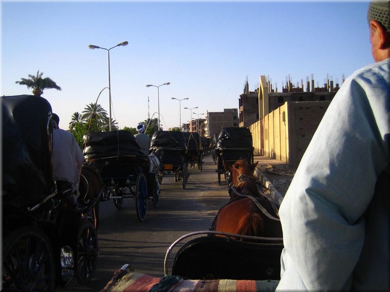 129Aegypten2007KutschenfahrtLuxor.JPG