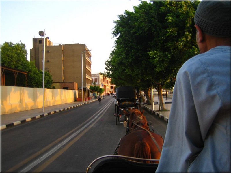 147Aegypten2007KutschenfahrtLuxor.JPG