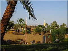 126Aegypten2007KutschenfahrtLuxor.JPG