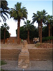 282Aegypten2007LuxorTempel.JPG