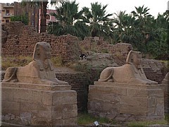 283Aegypten2007LuxorTempel.JPG