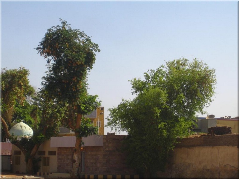 382Aegypten2007EdfuTempel.JPG
