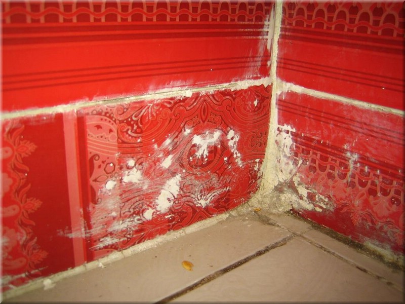 619Aegypten2007.JPG