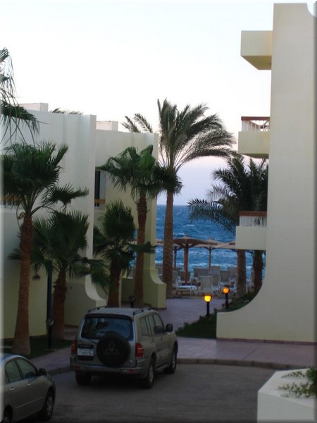 623Aegypten2007HurghadaPalmBeach.JPG