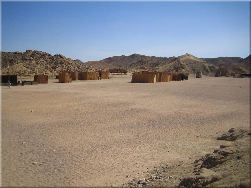 649Aegypten2007QuadtourKamelreiten.JPG