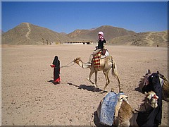 651Aegypten2007QuadtourKamelreiten.JPG