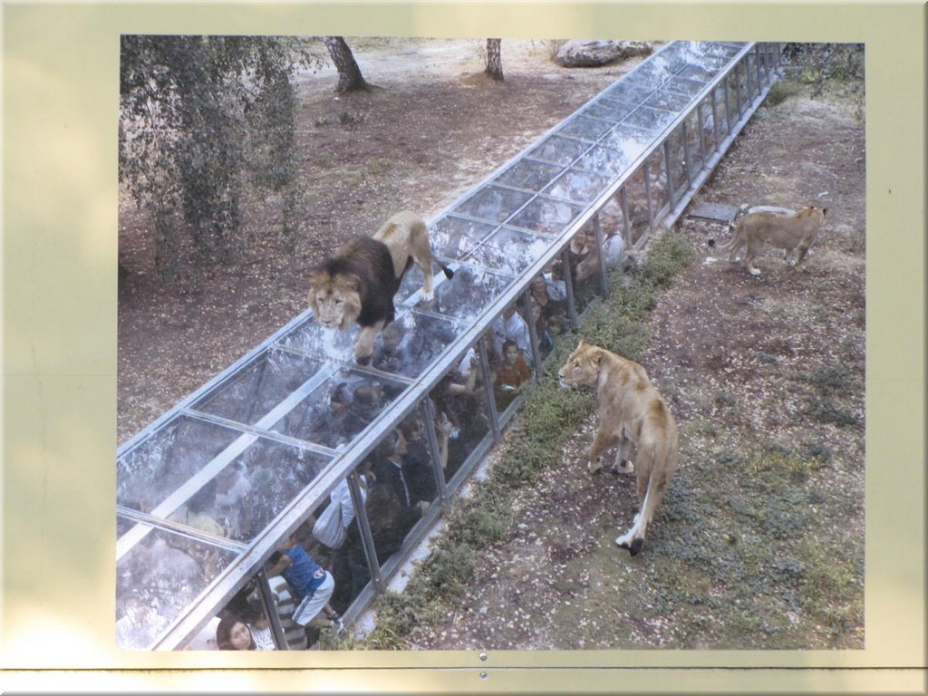 3_Thoiry_2012_206SoHaesslichKannEsImSommerDaSicherSein.JPG