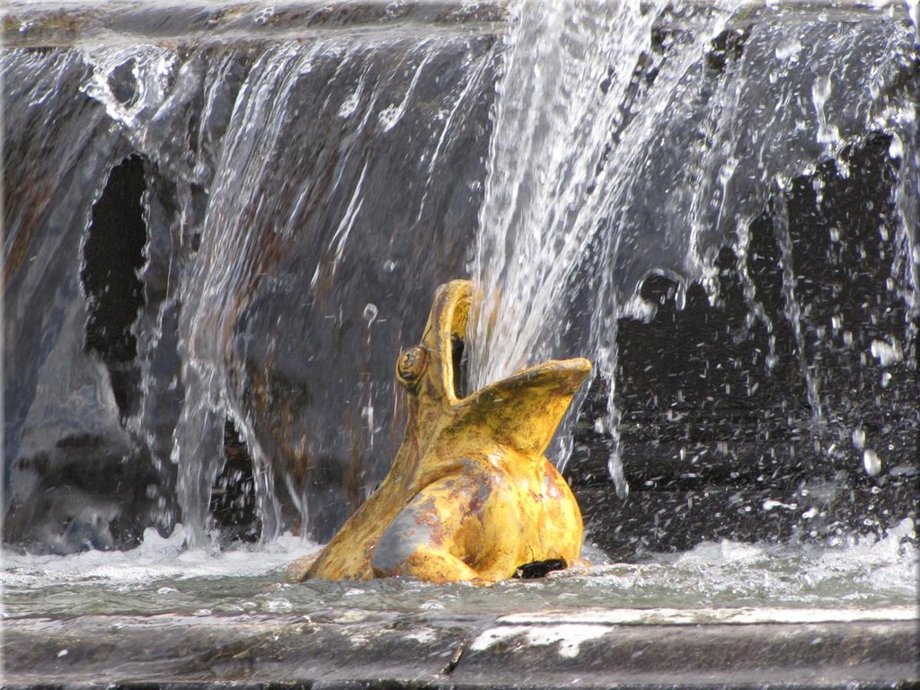 1_Versailles_2012_007.JPG