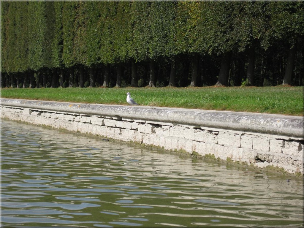 1_Versailles_2012_045.JPG