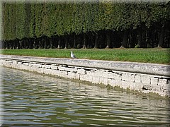 1_Versailles_2012_045.JPG