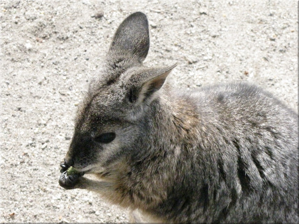 IMG_2645.JPG
