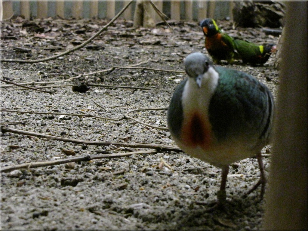 IMG_2660.JPG
