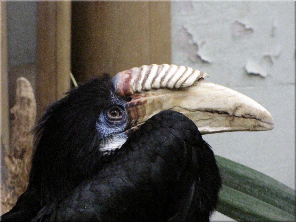 IMG_2664.JPG