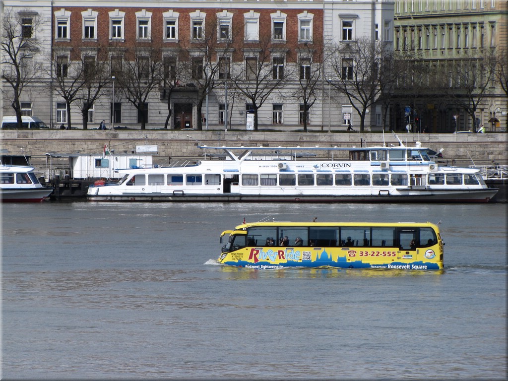 IMG_2737.JPG