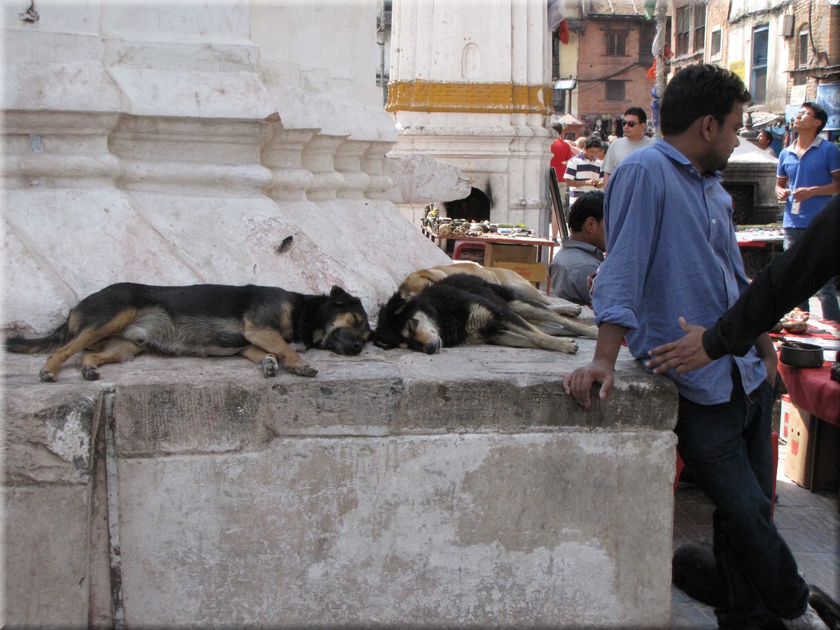 2013_04_19_Kathmandu0050.JPG