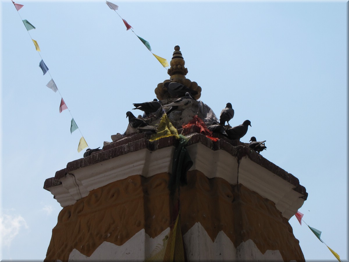 2013_04_19_Kathmandu0058.JPG