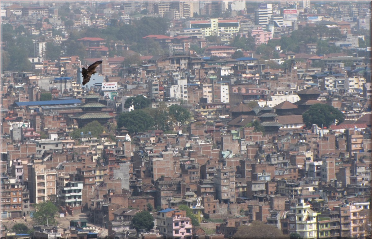 2013_04_19_Kathmandu0116.JPG