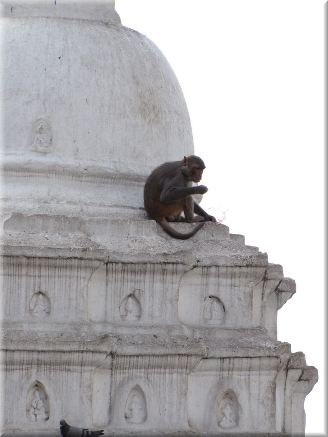 2013_04_19_Kathmandu0123.JPG