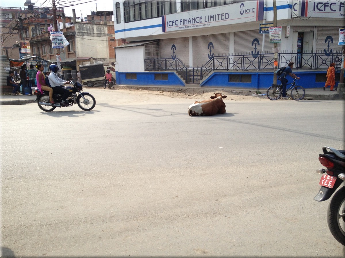 2013_04_19_Kathmandu_ein_Hinduproblem_Thamel.JPG
