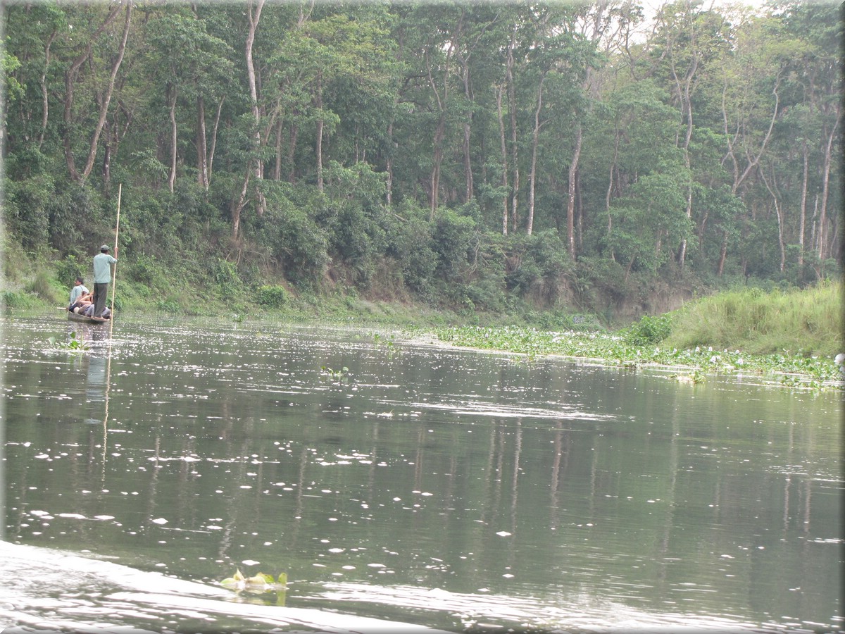 2013_04_20_Chitwan_NationalPark_JungleSafari0057.JPG