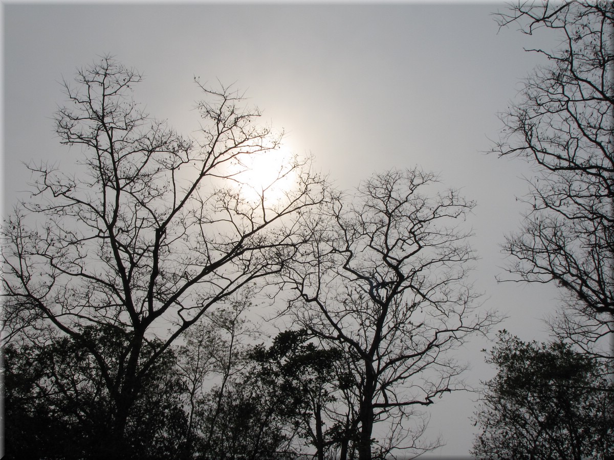 2013_04_20_Chitwan_NationalPark_JungleSafari0065.JPG