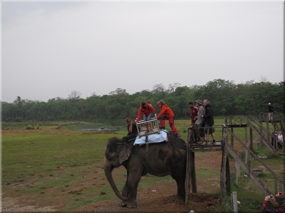 2013_04_21_Chitwan_NationalPark_ElephantRide0188.JPG