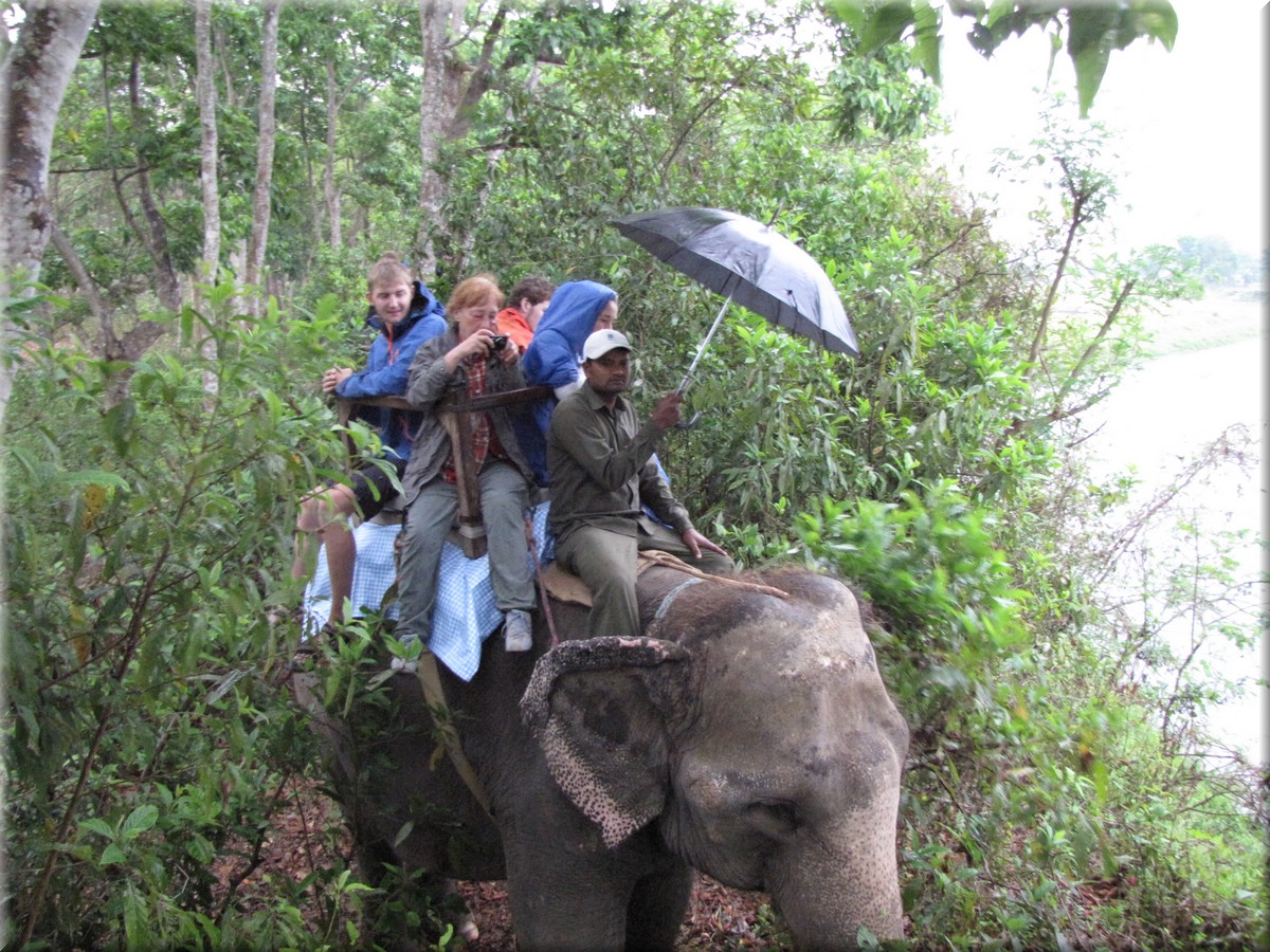 2013_04_21_Chitwan_NationalPark_ElephantRide0199.JPG