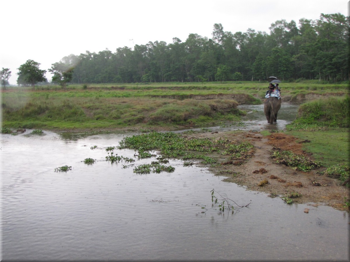 2013_04_21_Chitwan_NationalPark_ElephantRide0205.JPG