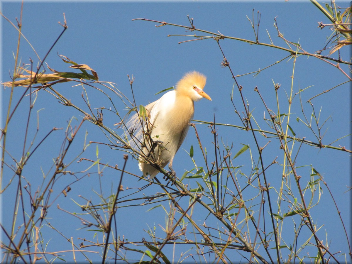 2013_04_22_Pokhara0218.JPG