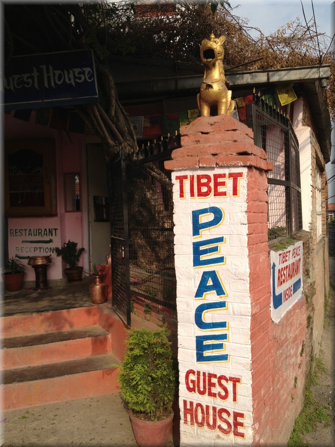 2013_04_29_Bhaktapur1000_sehr_verschimmeltes_Bad.JPG