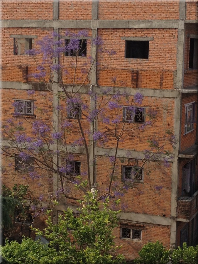 2013_04_29_Bhaktapur1003.JPG