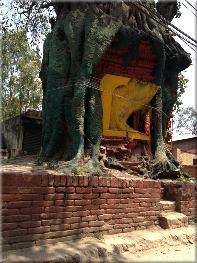 2013_04_29_Bhaktapur1018_Temple_im_Baum.JPG