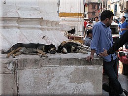 2013_04_19_Kathmandu0050.JPG