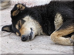 2013_04_19_Kathmandu0055.JPG