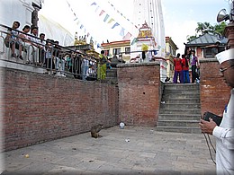 2013_04_19_Kathmandu0133.JPG