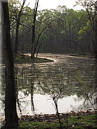 2013_04_20_Chitwan_NationalPark_JungleSafari0072.JPG