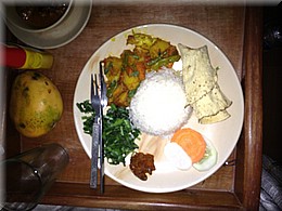 2013_04_20und21_Chitwan1009_dal_bhat.JPG