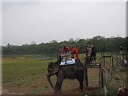 2013_04_21_Chitwan_NationalPark_ElephantRide0188.JPG