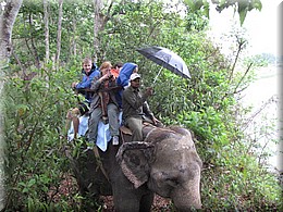 2013_04_21_Chitwan_NationalPark_ElephantRide0199.JPG