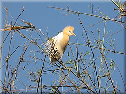 2013_04_22_Pokhara0218.JPG