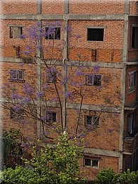 2013_04_29_Bhaktapur1003.JPG