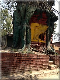 2013_04_29_Bhaktapur1018_Temple_im_Baum.JPG