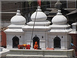 2013_04_30_Kathmandu_Pashupatinath0680.JPG