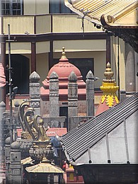 2013_04_30_Kathmandu_Pashupatinath0699.JPG