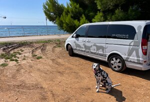 2025-09-16 13-32-34