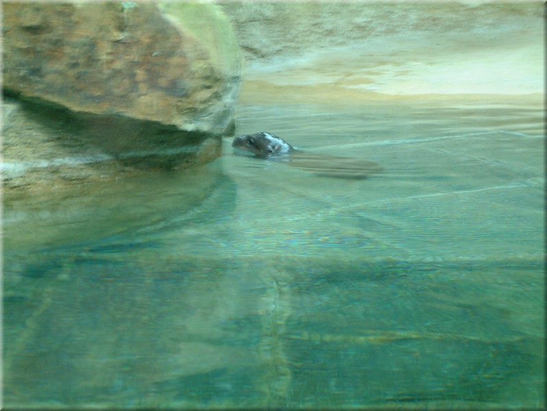 DSCF0830.JPG