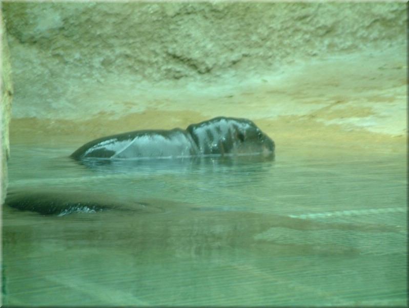 DSCF0837.jpg