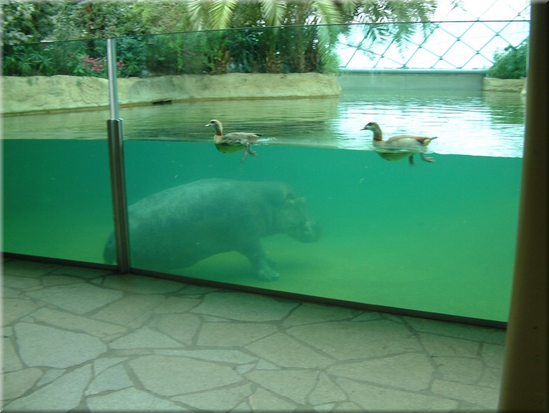 DSCF0843.JPG